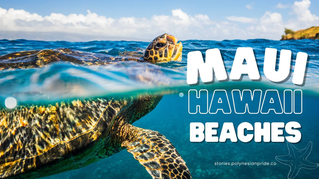 maui hawaii beaches
