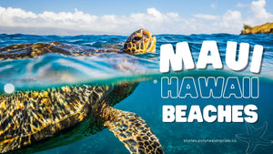 maui hawaii beaches