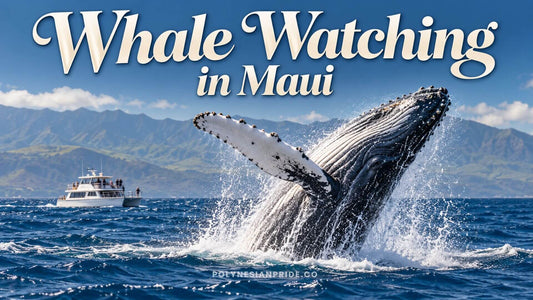 Whale Watching in Maui