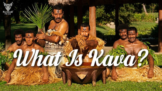Fijian men preparing yaqona in a traditional wooden bowl during a cultural ceremony