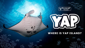 where is yap